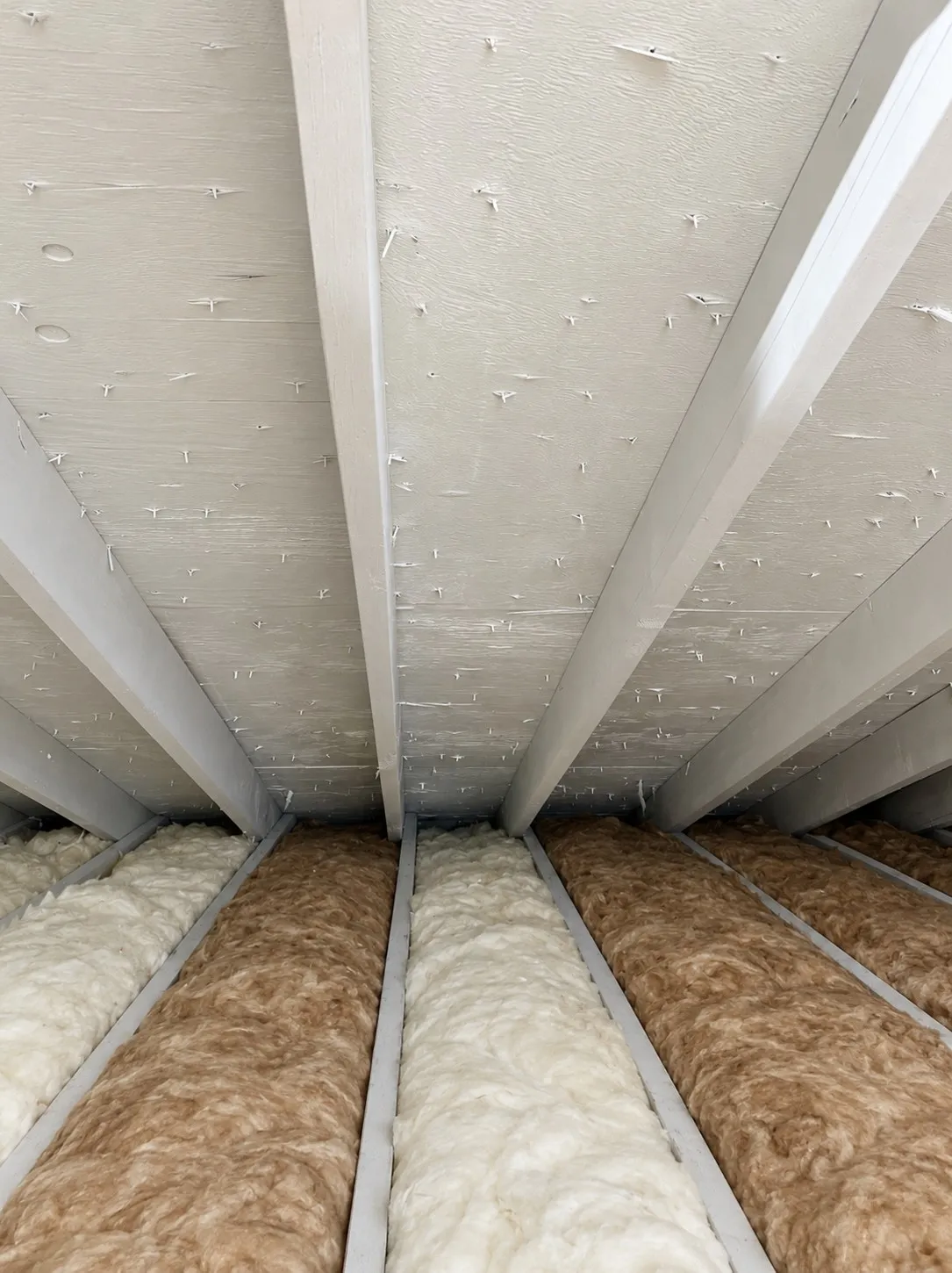 Attic Mold Remediation — after