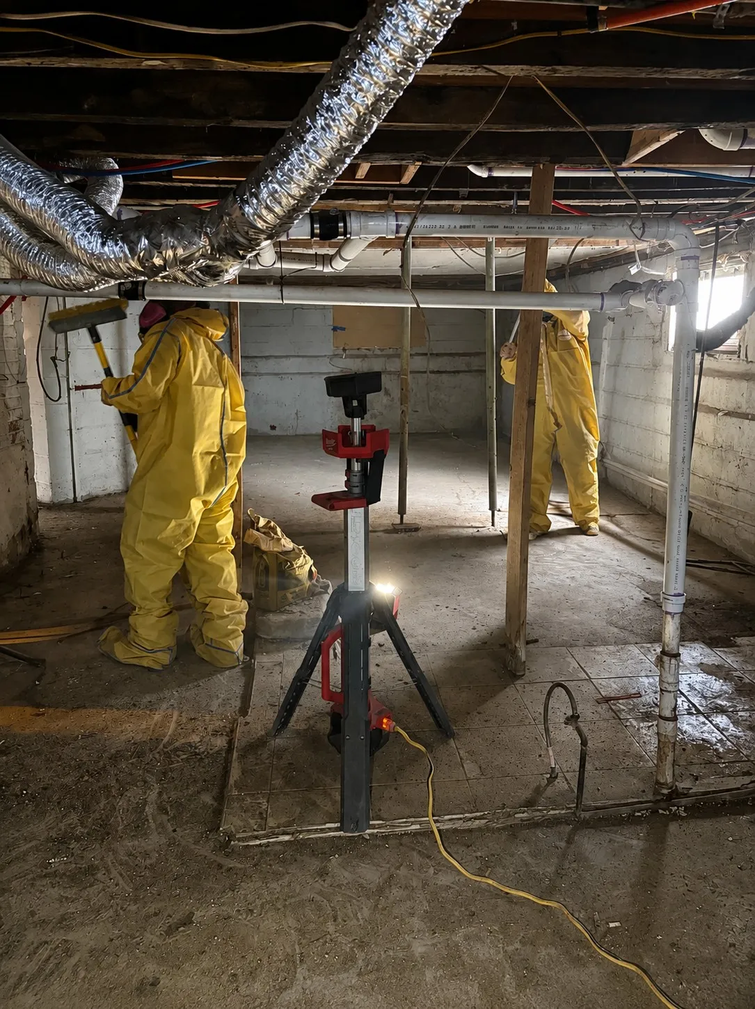 Basement Mold & Water Cleanout