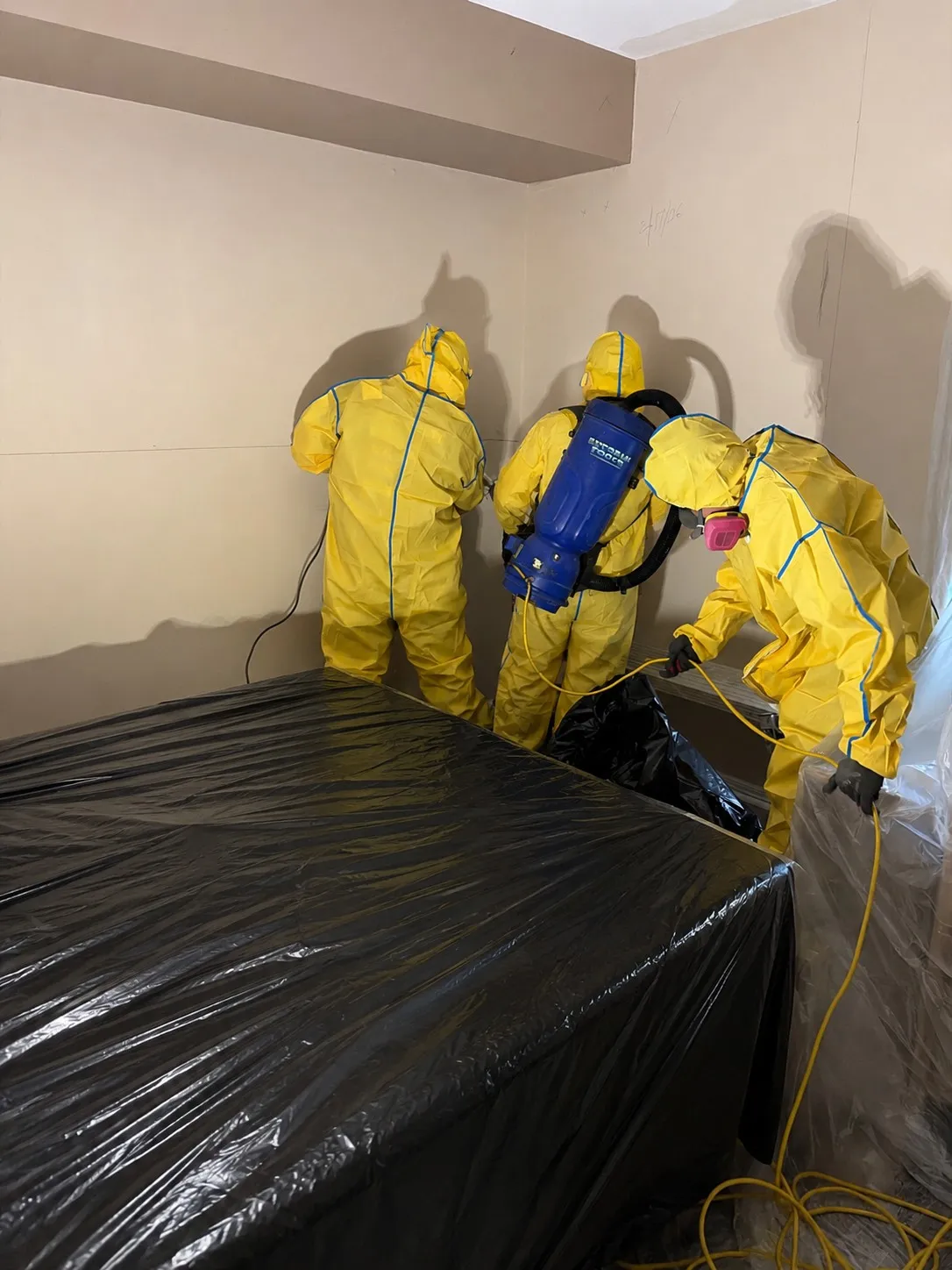 Bedroom Mold Treatment